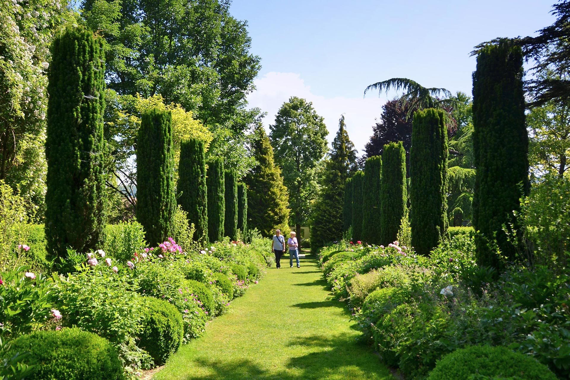 Rosenparadies mit Teatime im Markgräflerland