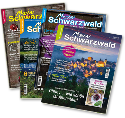 Vorteils Abo – 4 Ausgaben Abo