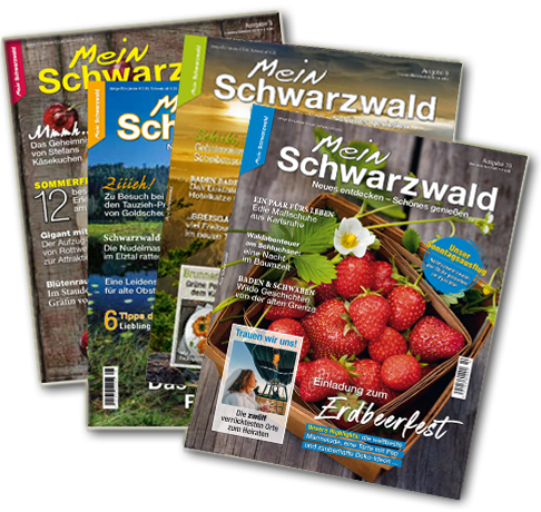 abo_4_hefte_ausgabe10 Abo