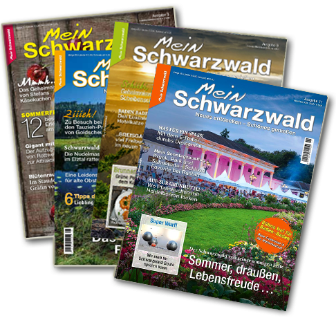 abo_4_hefte_ausgabe11 Abo