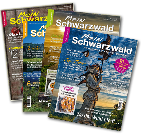 abo_4_hefte_ausgabe12 Abo