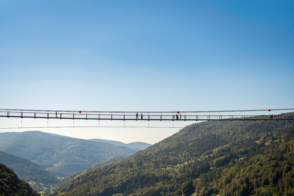 __Aufmacheridee_Hängebrücke Blackforestline